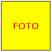 Cuadro de texto: FOTO
